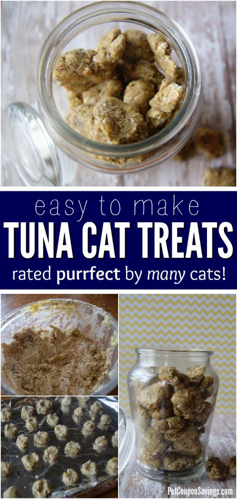 Homemade Tuna Cat Treats Flea Bomb, Homemade Cat Treats Recipes, Tuna Cat Treats, Homemade Pet Treats, Pet Treats Recipes, Homemade Cat Food, Flea Shampoo, Flea Spray, Food Dog