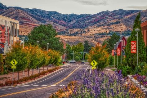 Idaho State University Pocatello,  Id University Of Idaho Aesthetic, Idaho In The Fall, Boise Idaho Aesthetic, Idaho Boise, What To Do In Boise Idaho, Idaho State University, Pocatello Idaho, University Of Idaho, Idaho State