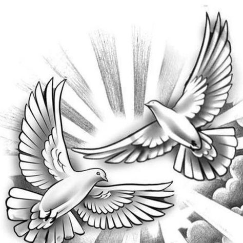 Rip Dove Tattoo, 2 Dove Tattoo Design, Birds Kissing Tattoo, Rose And Dove Tattoo For Men, 2 Doves Tattoo Design, Roses And Doves Tattoo, Dove With Sun Rays Tattoo, Dove Drawing Tattoo, Dove Tattoo Design For Women