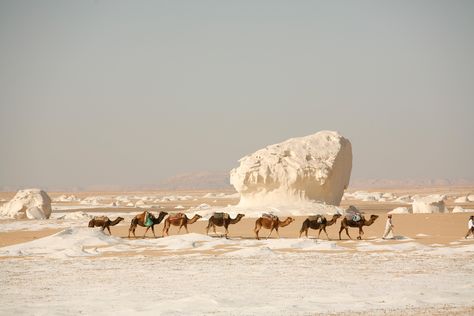 white desert in egypt | Egypt’s White Desert White Desert Egypt, White Desert, Blogger Photography, Egypt Travel, Shades Of White, Places Around The World, Most Beautiful Places, Time Travel, Mount Rushmore