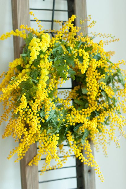 #couronne de #fleurs Wreath Hanging, Yellow Cottage, Seasonal Wreaths, Wreaths & Garlands, Deco Floral, Arte Floral, Wreath Crafts, Mellow Yellow, Beautiful Wreath