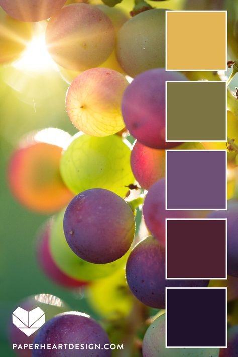 Best Bedroom Color Palette, Love Color Palette Colour Schemes, Tri Color Palette, 6 Color Palette Colour Schemes, Grape Color Palette, Brand Color Palette Ideas, Tuscany Color Palette, Color Pallets Inspiration, Summer Color Schemes