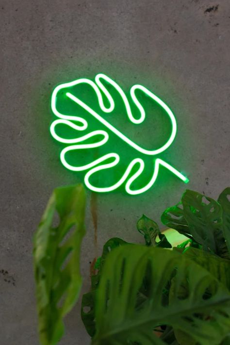 a green neon sign sitting on top of a cement floor Aesthetic Plant, Plant Mama, Room Decor Aesthetic, Plant Aesthetic, Decor Aesthetic, Plant Mom, Plant Gifts, Neon Lights, Monstera Leaf