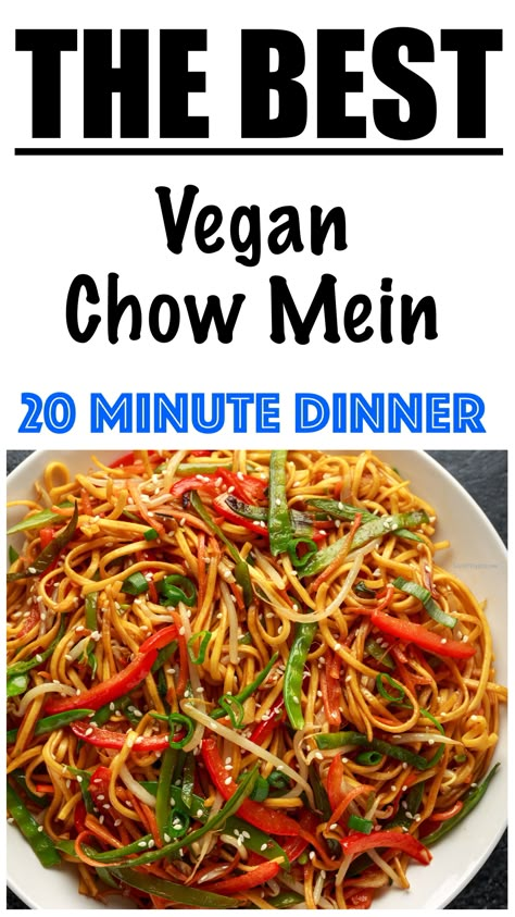 Veggie Chow Mein Stir Fry, Vegan Chow Mein Recipe, Tofu Chow Mein, Chow Mein Vegetable, Vegetarian Chow Mein, Veg Chow Mein Recipe, Chow Mein Vegetarian, Vegan Lo Mein, Veggie Chow Mein