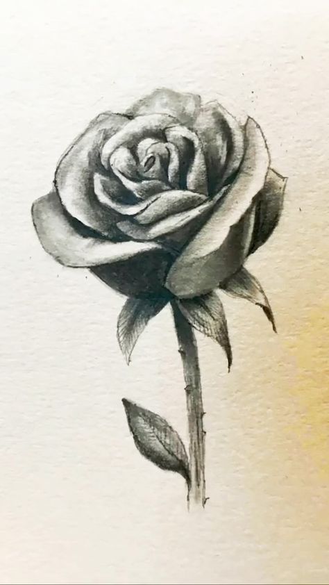 Shane Burke | How to Draw a Realistic Rose! 🌹 #drawinglesson #drawingtutorial #howtodraw #learntodraw #artclass #drawinglessons #art #draw #sketch… | Instagram Realistic Drawings Flowers, Natural Form Drawing, Rose Sketch Realistic, Flower Drawing Realistic, Realistic Drawings For Beginners, Realistic Drawings Colored Pencils, Rose Pencil Drawing, Realistic Rose Drawing, Roses Sketch