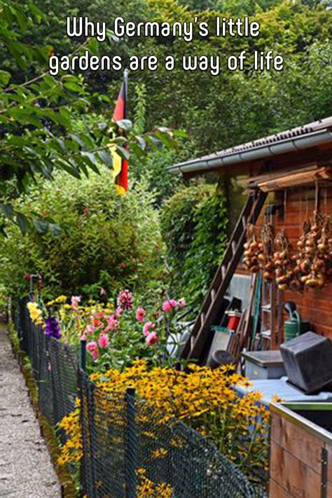 Allotment Structures, Cottage Allotment, Minden Germany, German Garden, Community Allotment, Pretty Allotment, No Dig Allotment Uk, Gardening Drawing, Gardening Wallpaper