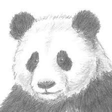 Panda Face Drawing, Draw A Panda, Panda Sketch, Panda Sitting, Panda Bear Art, Pencil Sketches Easy, Panda Head, Shading Drawing, Panda Drawing