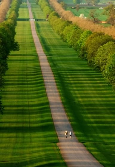 "Un paseo por el parque" Gran Parque de Windsor, Berkshire, Reino Unido este es el camino que conduce al Castillo de Windso Famous Castles, Beautiful Castles, Windsor Castle, Foto Art, Green Grass, Oh The Places Youll Go, Two People, A Walk, Beautiful World