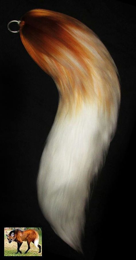 Maned Wolf Therian, Wolf Crafts, Wolf Ears And Tail, Wolf Tail, Maned Wolf, Therian Stuff, Animal Tails, Wolf Ears, Cosplay Cute