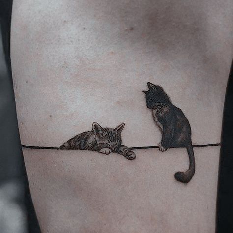 Kitten Tattoo, Cat Tat, Small Pretty Tattoos, With Tattoo, Cat Tattoos, Original Tattoos, Backyard Inspiration, More And More, Tattoo Inspo