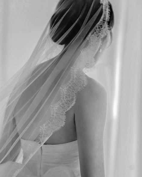 ADRIANNA Adding a soft and feminine touch to your bridal look, the Adrianna mantilla veil is made from the softest of tulles and trimmed with a fine Chantilly lace Photographer @ameliasoegijono Stylist & design @mayawyszynski Hair & Makeup @jhc.makeup Venue @summerhope_house #laceveils #tradionalveil #mantillaveil #bridaldetails #bridalfinery #bridetobe #veils #weddingveil #bridalveil #designerbridal #romanticveils #weddingaccessories #bridalaccessories #bridalfashion #elegantbride #... Mantilla Wedding Veil, Mantilla Veil Wedding, Wedding Tiara Veil, Lace Mantilla Veil, Embellished Veil, Lace Mantilla, Soft And Feminine, Mantilla Veil, Lace Veil