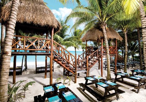 El Dorado Seaside Suites, Resort Plan, Cozy Sitting Area, Swim Up Bar, Riviera Maya Mexico, All Inclusive Vacations, Lush Garden, Perfect World, Riviera Maya