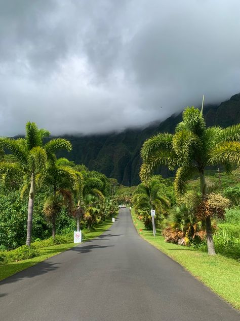 Oahu Hawaii 

Hoʻomaluhia Botanical Garden

Aesthetic 
Tiktok Honaloulou Hawaii, Hawaii Honolulu Aesthetic, Honolulu Hawaii Photography, Hawaii Astethic, Honolulu Hawaii Aesthetic, Oahu Hawaii Aesthetic, 2024vision Board, Uh Manoa, Tiktok Lifestyle