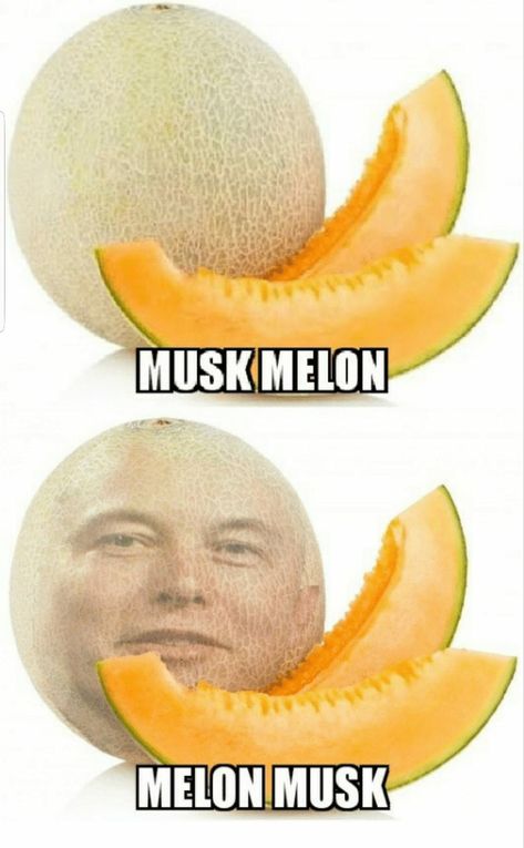 Melon Musk, Melon, Bulgaria, Memes