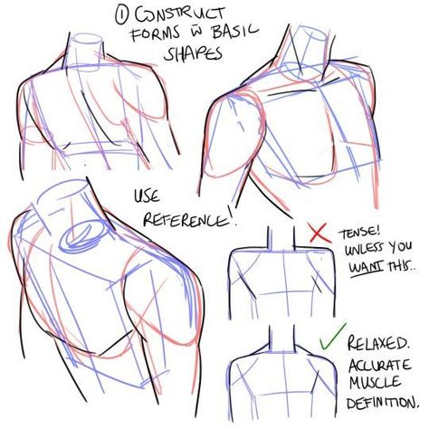 How To Draw Male Shoulders, How To Draw A Shoulder, Anatomy Shoulder Drawing, How To Draw Head And Shoulders, Gripping Shoulder Reference, How To Draw Chest Male, Torso And Head Reference, Shoulder Angles Reference, Shoulder Up Reference