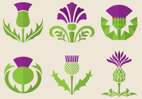 The thistle flowers are a popular symbol in different countries and cultures, maybe you need fresh ideas for your logo or to illustrate publications and projects about botany and flowers. Thistle Quilt, Fleurs Art Nouveau, Thistle Tattoo, Thistles Art, Motifs Art Nouveau, Thistle Flower, Scottish Thistle, Celtic Art, 자수 디자인