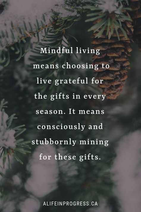 Mindful living means choosing to live grateful for the gifts in every season. It means consciously and stubbornly mining for these gifts. #intentionalliving #wisdom #selfcompassion #mindfulness Flow Of Life, Seasonal Living, Ebb And Flow, The Wisdom, Mindful Living, Slow Living, Quotable Quotes, Good Thoughts, Great Quotes