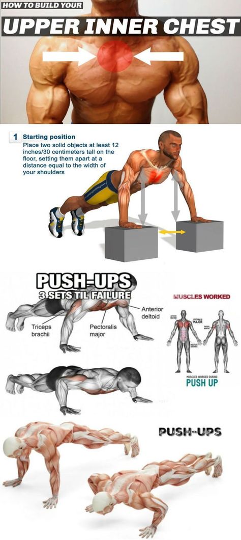 Toned Muscles, Pectoral Muscles, Simple Exercise, Exercise Program, Muscles In Your Body, Weight Training Workouts, Chest Workouts, Push Ups, Fitness Challenge