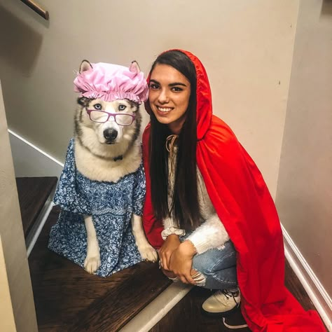 Little red riding hood costume with your dog!!! My daughter went to the thrift store and found a red sheet that she cut up to create the Cape. She bought a shower cap and reader glasses from the dollar tree. The whole costume cost three dollars! Person And Dog Costume Halloween, Costume Ideas With Your Dog, Human And Dog Costumes, Husky Halloween Costumes, Halloween Costumes With Dog, Little Red Riding Hood And Wolf Costume, Little Red Riding Hood Costume, Husky Costume, Red Riding Hood Costume Diy