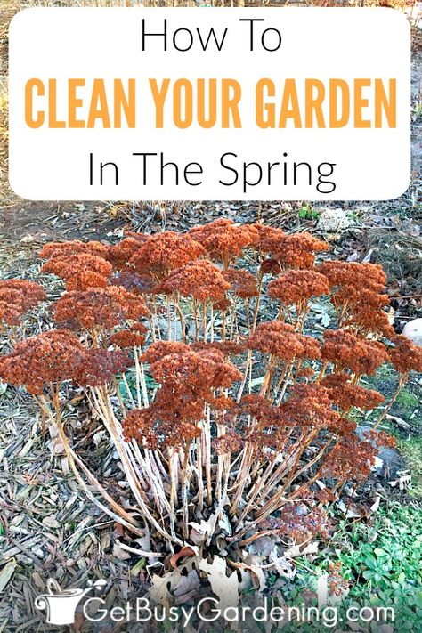 Spring Garden Clean Up Checklist & Cleaning Tips - Get Busy Gardening Spring Cleaning Yard, Homemade Toilet Cleaner, Clean Baking Pans, Cleaning Painted Walls, Garden Spring, Deep Cleaning Tips, Healthy Garden, Clean Dishwasher, Flowers Garden