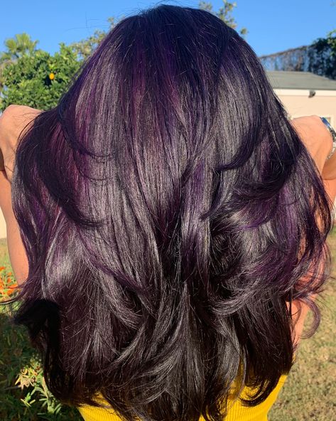 Purple Black Hair, Hair Color Plum, Dark Purple Hair, Plum Hair, Being A Girl, Hair Color Underneath, Wine Hair, Violet Hair, Hair Color Streaks