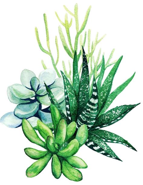 Drawing Leaves, Succulents Illustration, Succulents Drawing, Printables Etsy, Succulent Painting, Succulent Wall Art, Watercolor Succulents, Succulent Art, Cactus Painting