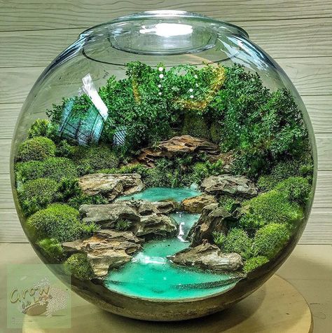 Terrarium Imaginarium on Instagram: “Water scene made by @growdelove from Thailand 🇹🇭 #terrariumimaginarium” Terrarium Scene, Water Terrarium, Tanaman Air, Fairy Terrarium, Large Terrarium, Terrarium Centerpiece, Cactus Terrarium, Beautiful Terrariums, Mini Terrarium