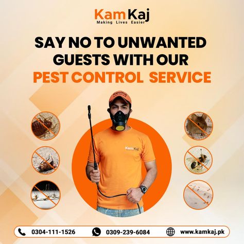 From rodents to roaches, we're dedicated to your pest-free satisfaction. Choose us for expert pest control and enjoy a worry-free space. Book Now: https://www.kamkaj.pk/p/pest-control-services Call us now: 0304-111-1526 WhatsApp: 0309-2396084 Play Store: https://bit.ly/2NclU5o App Store: https://apple.co/38BmLEr #PestControl #PestFree #BugBusters #HomeProtection #PestTerminators #InsectControl #RodentRemoval #PestPrevention #HealthyHome #HealthyOfficeSpace #SafeLiving #PestManagement Fumigation Services, Cleaning Inspiration, Pest Prevention, Household Pests, Barbershop Design, Rodent Control, Bug Control, Post Ad, Pest Management