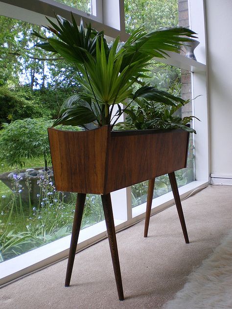 Bonita maceta para colocar plantas delante de una ventana hasta el suelo ( o cualquier otro sitio) Vintage Mid Century Furniture, Modern Plant Stand, Happy Stuff, Patio Pots, Luxury Furniture Living Room, Plant Growing, Mid Century Living Room, Mid Century Modern Living, Plants Indoor