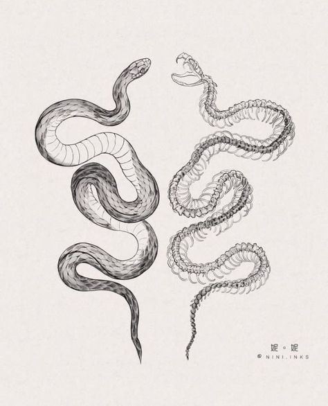 Snake Ideas Tattoo, Thigh Stomach Tattoo, Tattoo Design Drawings Skeleton, Double Snake Back Tattoo, Curled Snake Tattoo, Hip Tattoos Women Snake, Snake Tattoo Pelvis, Snake Tattoo Design Stencil, Snake Skeleton Tattoo Back