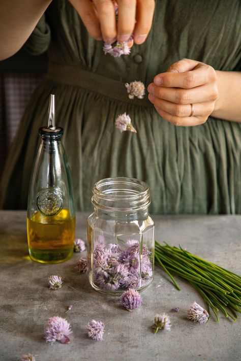 Chive Blossom Infused Olive Oil Flower Infused Oil, Food Europe, Infused Vinegars, Chive Flower, Chive Blossom, Rose Recipes, Garlic Chives, Infused Olive Oil, Perennial Herbs