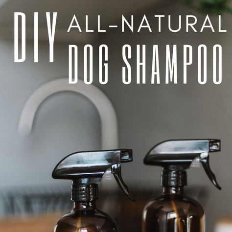 Homemade dog shampoo and dog wash can be less expensive and gentler on your dog. Here are several great recipes made with easy-to-find, natural ingredients. Dog Dry Shampoo, Dry Shampoo Recipe, Dog Shampoo Recipe, Homemade Shampoo Recipes, Diy Dog Shampoo, Homemade Dog Shampoo, Dog Shampoo Bar, Shampoo Bar Recipe, Natural Dog Shampoo