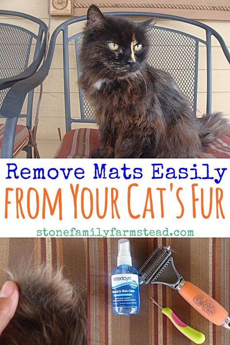 Remove Mats Easily from Your Cat's Fur - Stone Family Farmstead Matted Cat Fur, Cat Grooming Tools, Pet Tips, Cat Towers, Long Haired Cats, Kitty Stuff, Healthy Cat, Senior Cat, Outdoor Cats