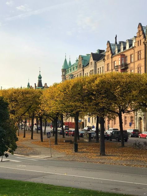 Stockholm in autumn Stockholm In Autumn, Stockholm Autumn, Copenhagen Vibes, Stockholm Aesthetic, Malmo, I Want To Travel, Gap Year, Stockholm Fashion, Best Seasons