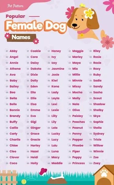 Popular Female Dog Names, Puppy Names Unique, Girl Pet Names, Girl Dog Names Unique, Puppies Names Female, Dogs Names List, Girl Cat Names, Cute Animal Names, Cute Puppy Names