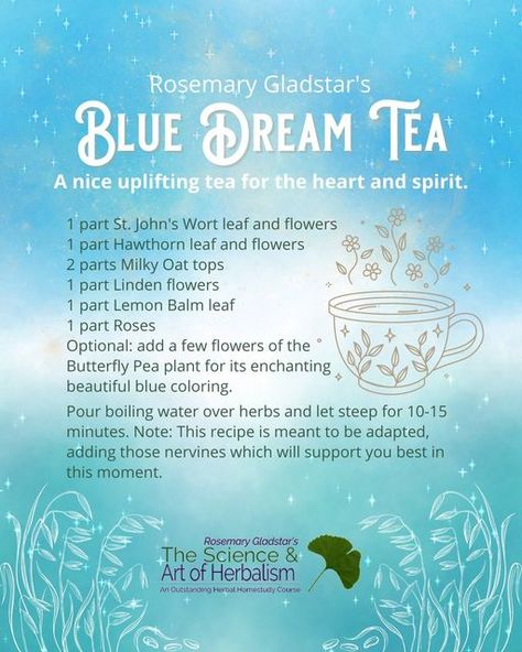 Rosemary Gladstar on Instagram: "May your heart and spirit feel lifted and at ease while you drink this tea! 🌿 Blue Dream Tea 🌿 1 part St. John's Wort leaf and flowers 1 part Hawthorn leaf and flowers 2 parts Milky Oat tops 1 part Linden flowers 1 part Lemon Balm leaf 1 part Roses Optional: add a few flowers of the Butterfly Pea plant for its enchanting beautiful blue coloring. Pour boiling water over herbs and let steep for 10-15 minutes. Note: This recipe is meant to be adapted, adding those Butterfly Pea Plant, Spiced Tea Recipe, Hawthorn Leaf, Homemade Tea Recipes, Linden Flower, Pea Flower Tea, Rosemary Gladstar, Teas Recipes, Butterfly Pea Flower Tea