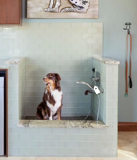 Dog Station, Guest Bathroom Renovation, Puppy Room, Dog Grooming Shop, Dog Bathroom, Holly House, Dog Spa, Dog Washing Station, Dog Spaces