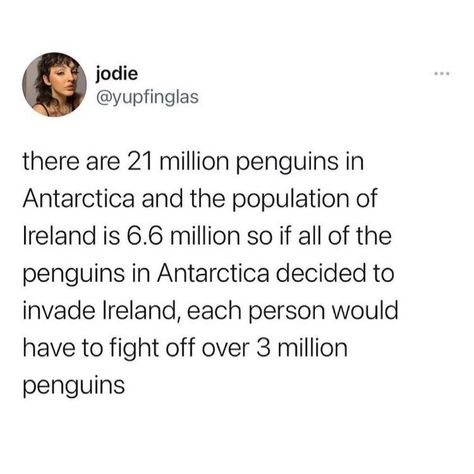 Irish Memes, Irish Aesthetic, Funny Instagram Memes, Daily Jokes, Irish Funny, Funny Picture Quotes, It Goes On, Know Your Meme, Take A Break