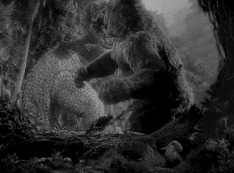 King Kong King Kong Movie, Godzilla 1998, King Kong 1933, King Kong Vs Godzilla, Fay Wray, Lee Van Cleef, Legendary Pictures, In And Out Movie, Film Buff