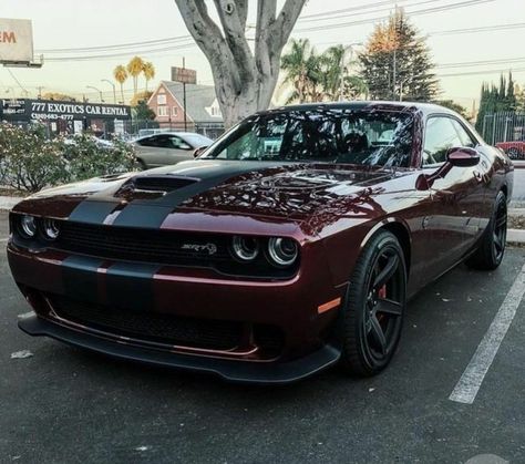 - @medranert Mustang Dodge Challenger, Hellcat Srt, Cars Mustang, Tmax Yamaha, Challenger Hellcat, Dodge Challenger Hellcat, Challenger Srt Hellcat, Dodge Challenger Srt Hellcat, Dodge Muscle Cars