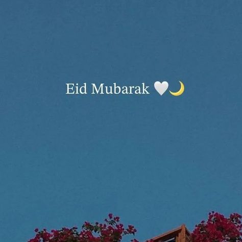 🦋 ʜᴜʙʙᴜ ʀᴀꜱᴏᴏʟ 🦋 on Instagram‎: "Eid mubarak✨
Sett your story🕊️

🦋Follow👉@hubbu.___.rasool 👈🦋
🦋
🦋Follow chayth kude kudikko🦋
.............................................................................
........................................................................
.
.
.
.
.
.
.
.
.
.
.
.
.
.
.
.
.
.
.
.
.
.
.
.
.
.
.
.
.
.
.
.
.
.
.
.
.
.
.
.
.

 #islam
#islamicquotes
#madheenag
#macca
#maccha
#madheena #islamic
#islamicpost #islamiccouple #
#islamicreminders #islamicpage
#islamicreels #ramadan #explore #reach #eid #eidmubarak eid, eidmubarak, reach, explore,
#reelsinstagram #allah
#hubburasool #subhanallah #mashallah #quran
#instagram #inistalike #inista #rasoolallahﷺ
.
.

.

.
.
.

.
.
.
.
.
.
.
.
.

islam, islamicsong, socialmedia, islamic, frind, speach"‎ Islamic Page, Photoshop Tutorial Typography, Photoshop Tutorial, Eid Mubarak, Islamic Quotes, Your Story, Ramadan