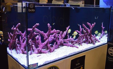 The Best Dry Rock For Aquascaping Saltwater Aquariums - Reef Builders Gear Guide | Reef Builders | The Reef and Saltwater Aquarium Blog Aquascape Aquarium Saltwater, Rock Aquascape, Aquascape Reef Tank, Live Coral Aquarium, Reef Aquascape, Aquascaping Rocks, Saltwater Aquariums, Coral Reef Aquarium, Life Rock Bramch Rock Aquascape Reef