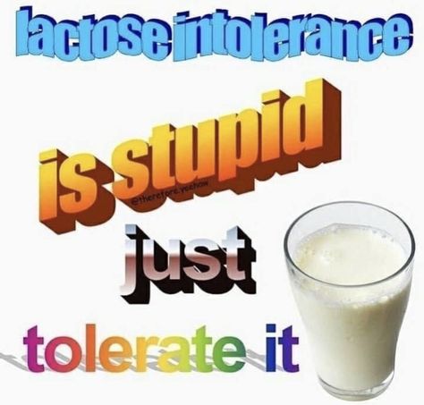 Tolerate It, Inspirational Memes, Laugh Track, Lactose Intolerant, Sticker Ideas, Sem Lactose, Me Too Meme, Top Funny, Dating Memes