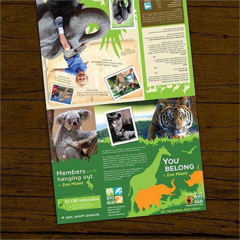 Zoo Brochure Template - Great Professional Template Ideas Zoo Brochure, Zoo Signage, Zoo Project, Brochure Examples, Photography Brochure, Voucher Design, Animal Templates, Graphic Design Brochure, Brochure Print