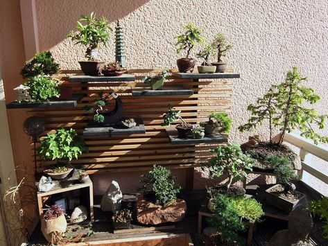 Indoor Japanese Garden, Japanese Garden Style, Bonsai Tree Care, Bonsai Soil, Zen Garden Design, Bonsai Styles, Japanese Garden Design, Bonsai Art, Pallet Garden