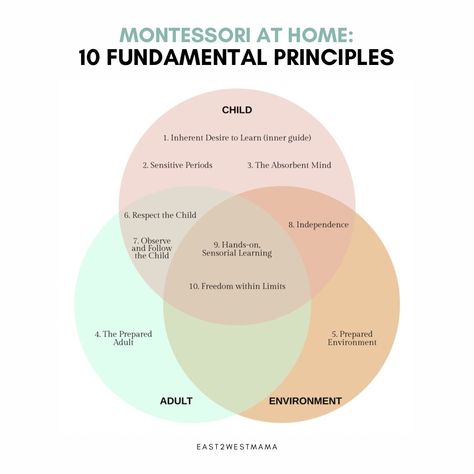 Montessori at Home: 10 Fundamental Principles All Parents Need To Know — East2West Mama Montessori Philosophy, Respect Meaning, Montessori Principles, Montessori At Home, Montessori Environment, Montessori Method, Philosophy Of Education, Math Materials, Physical Environment