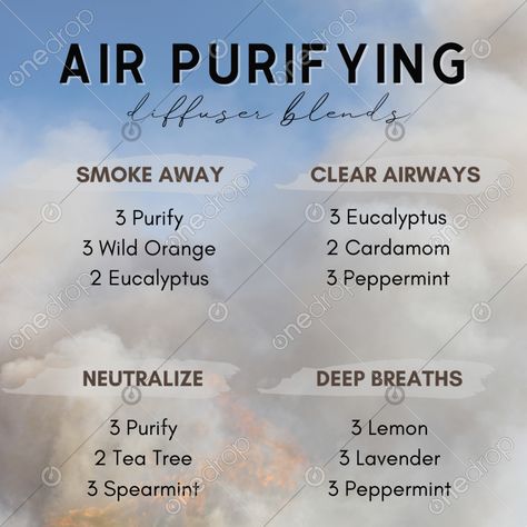 Air Purifying Diffuser Blends. Graphic with forest fire and smoke in the background.Suggested photo uses:Social media posts Instagram storiesPinterest pinsBlog post imagesE-book images Number of photos: 1Photo orientation: SquarePlease be sure to watermark before sharing & follow my co... #Fire #diffuser blends #california #respiratory #spearmint #purify #cleansing blend #breathing #diffuser recipes #smoky #smoke #Pixel #Perfect #Pixel Perfect #smoky air #air purifying #forest fires #f Purify Air Diffuser Blend, Air Purification Diffuser Blend, Doterra Air Purifying Diffuser Blend, Doterra Air-x Diffuser Blends, Air Cleansing Diffuser Blend, Essential Oil Air Purifier, Essential Oil Air Purifier Diffuser Blends, Clear The Air Diffuser Blend, Essential Oils To Purify The Air