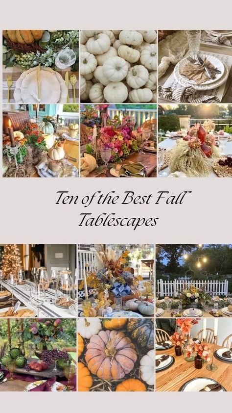 These are 10 beautiful fall tablescapes and decor ideas for your fall or holiday dining. Click to see them all.