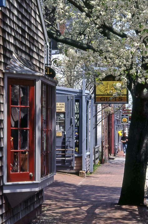 Visiting Nantucket on a Budget - The Thrifty New England Traveler Wedding Massachusetts, Vineyard Outfit, Hamptons Aesthetic, New England Road Trip, Cape Cod Ma, Nantucket Island, New England Travel, Doors And Windows, Marthas Vineyard