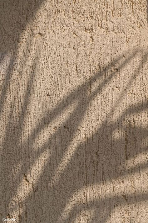 Wall Shadow, Leaf Shadow, Mises En Page Design Graphique, Concrete Effect Paint, Store Concept, Mood Images, Fotografi Vintage, Texture Inspiration, Orange Walls